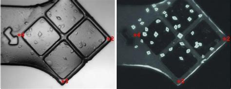 Scientists unlock the secrets of how a key protein converts DNA .